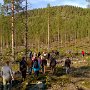 Looking for metavolcanosediments, Nautanen area, Sweden Fot. Krister Dalhem)